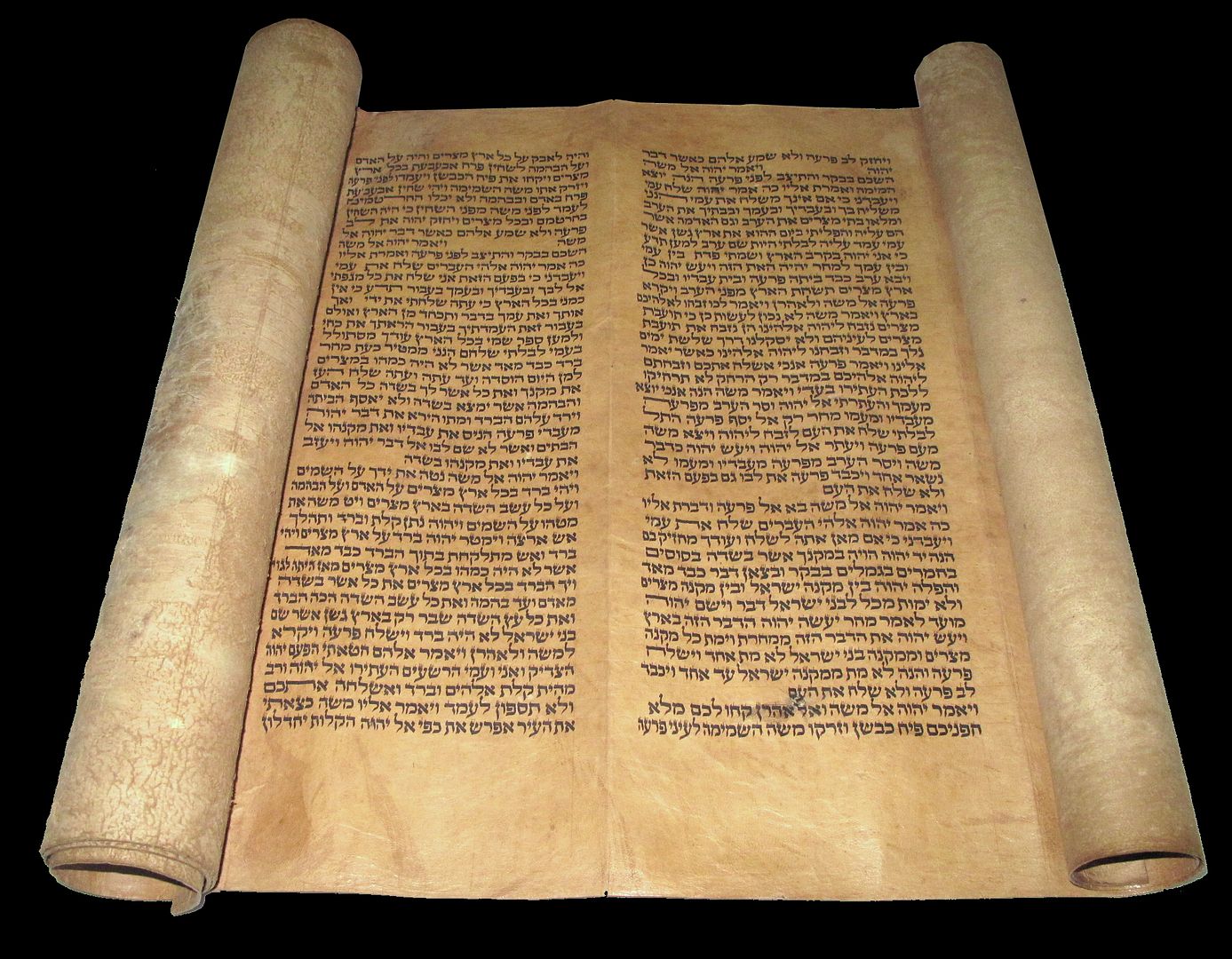 large-vellum-torah-bible-scroll-manuscript-judaica-250-yrs-morocco-ebay